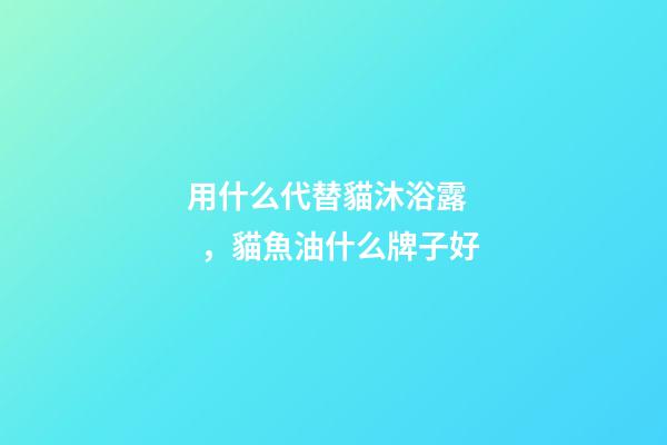 用什么代替貓沐浴露，貓魚油什么牌子好